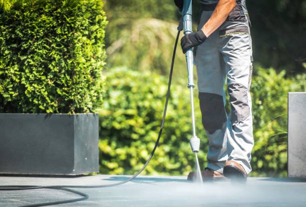 Best Rust Removal  in Del Norte, CO