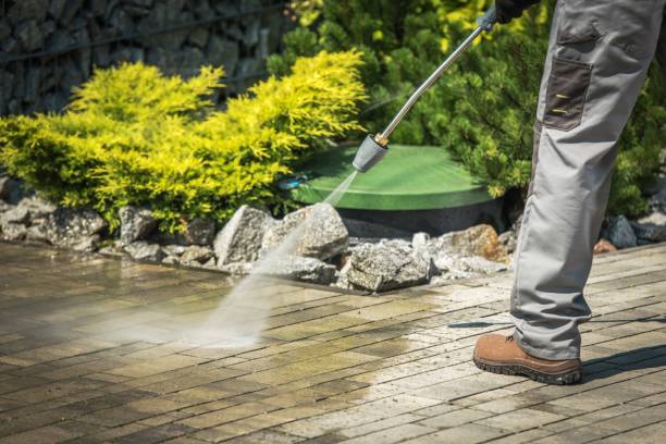 Best Warehouse Cleaning  in Del Norte, CO